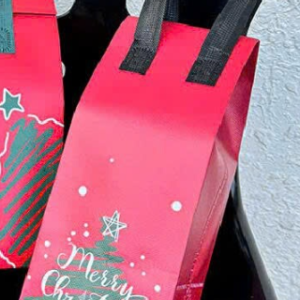 Túi Giữ Nhiệt NOEL - Túi 1 Ly (12x28x10) - Set 100 cái