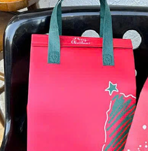 Túi Giữ Nhiệt NOEL - Túi 2 Ly (21x27x11) - Set 100 cái